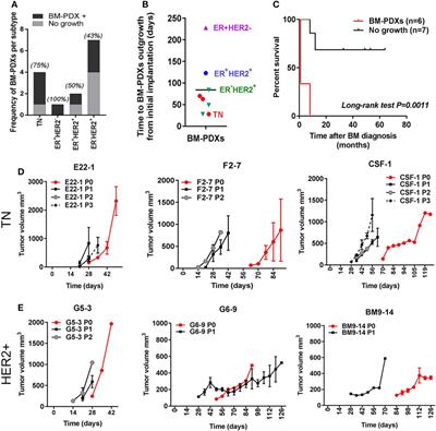 Development of Novel Patient-Derived Xenografts from Breast Cancer Brain Metastases